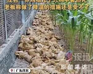 福建有民眾要求政府「調天氣」遭拒