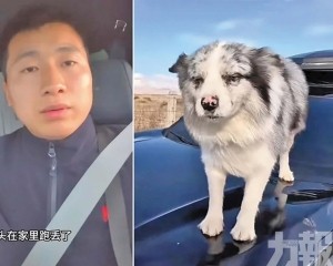 主人崩潰拒和解