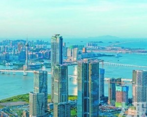 便利澳人及家屬在琴生活就業
