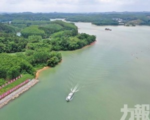 平陸運河全線通水今年9月通航