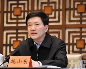 涉嚴重違紀違法受查