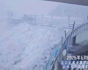 延慶驚現「六月飛雪」