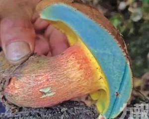 出現幻覺兼失憶