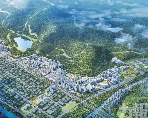 東橋村留用地收儲獲通過