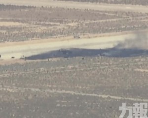 機上八人全部罹難