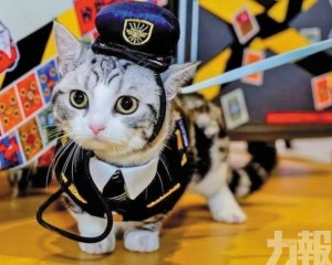 月費破萬元受上班族追捧