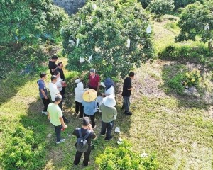 獲香港認證助攻灣區市場