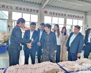 深化豫澳合作共促中醫藥走向國際