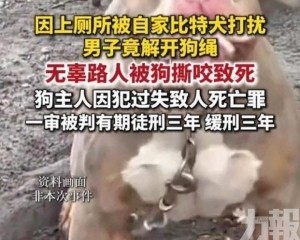 路人遭咬死狗主判緩刑