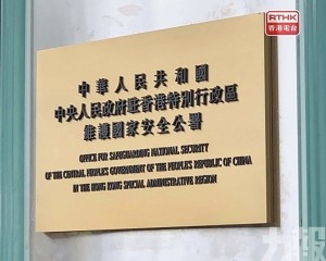 累計394人被捕