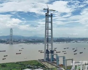 為後續貓道及主纜架設奠基