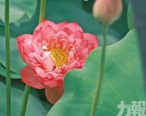 383件作品角逐人氣獎