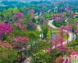 6公里路線串聯七處景觀