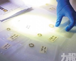 將亮相大灣區早期歷史展