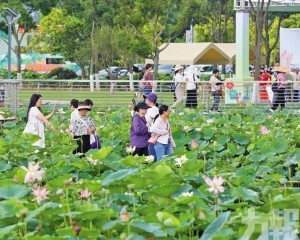 走向「四季常青」？