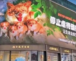 抵制行動掀連坐爭議