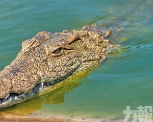擬部署監獄周邊防越獄