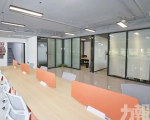 擬集聚百家澳資青年企業
