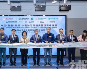 論壇探心腦血管病中醫藥診療新路徑