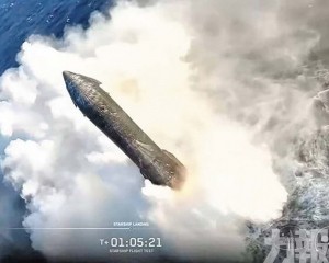 目標價維持300美元