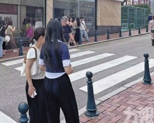倡柔性引導優化通行環境