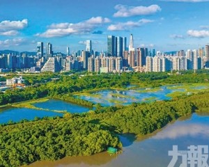 整合兩地資源推動生物多樣性保育
