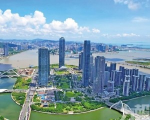 解碼琴澳跨境消費的稅收「加減法」