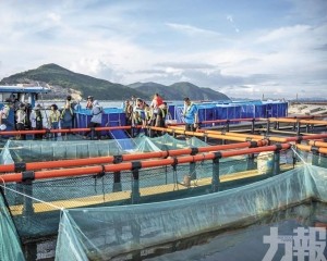 6,000尾魚苗轉運成活率99.9%