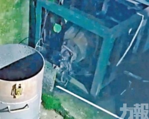 出租屋提煉黃金釋毒氣被捕