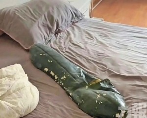 專家警告當心半夜「炸瓜」