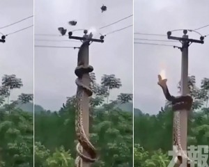 兩度觸高壓電當場喪命
