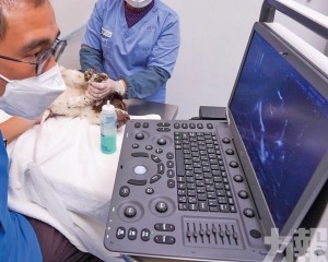 共28間動物診療活動場所