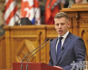 快速改革亦引程序爭議