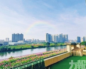 叠加灣區政策紅利助青年圓夢