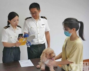 一次申報兩地通行