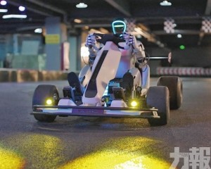 共生知行測全身智能