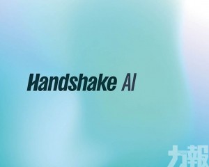 AI訓練公司惹私隱疑慮