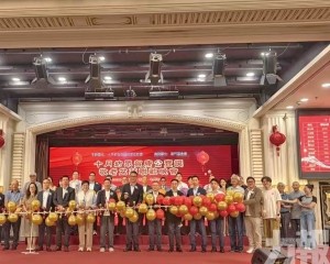 籲優化長者政策增社區護理服務