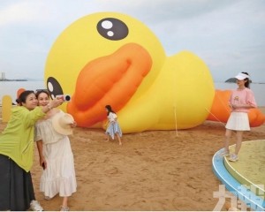 唐家灣沙灘玩解鴨