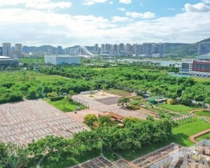 橫琴桃花源農場9月底開放