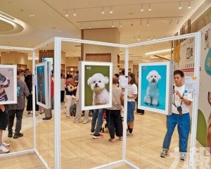 籌善款助毛孩推廣領養理念