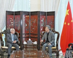 岑浩輝：冀大使館大力支持