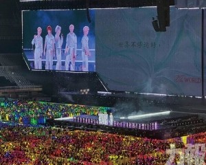 媒體批「飯圈」佔公器