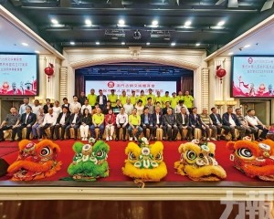 蔡明：積極參與公益緊貼國家發展大局