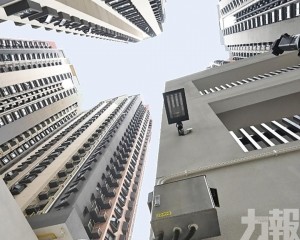 提高罰則增強法律阻嚇力