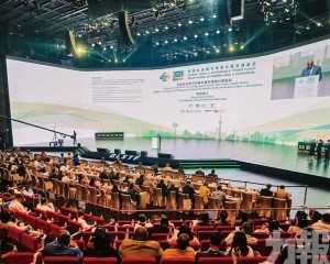 葡西語國家參與度顯著提升