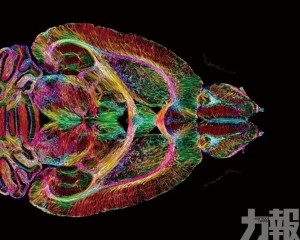 有望助攻漸凍症研究
