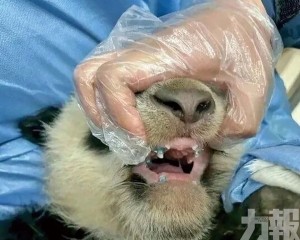 矯正下頜不對稱告別漏奶
