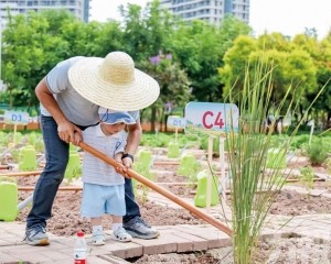 橫琴桃花源農場開園