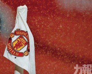 料明年增長加快